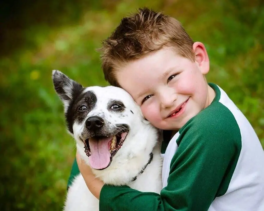 Stock photo of a boy hugging a black and white dog in a park